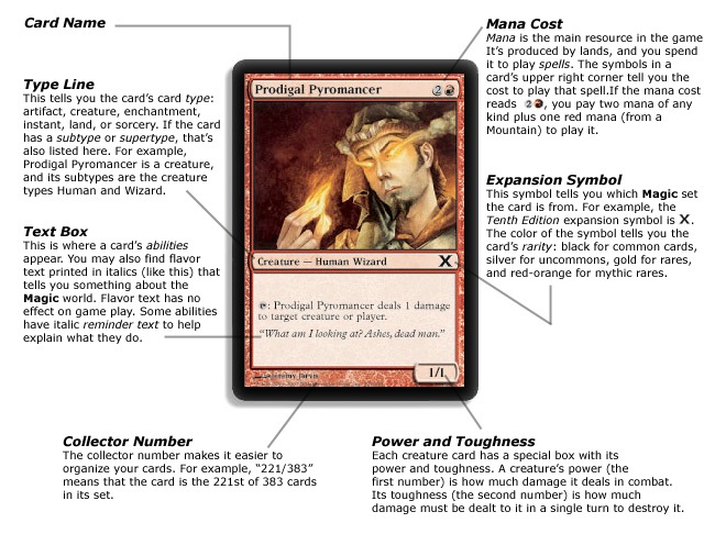 MtG card anatomy