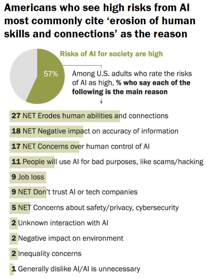Pew Research graphic detailing risks from AI