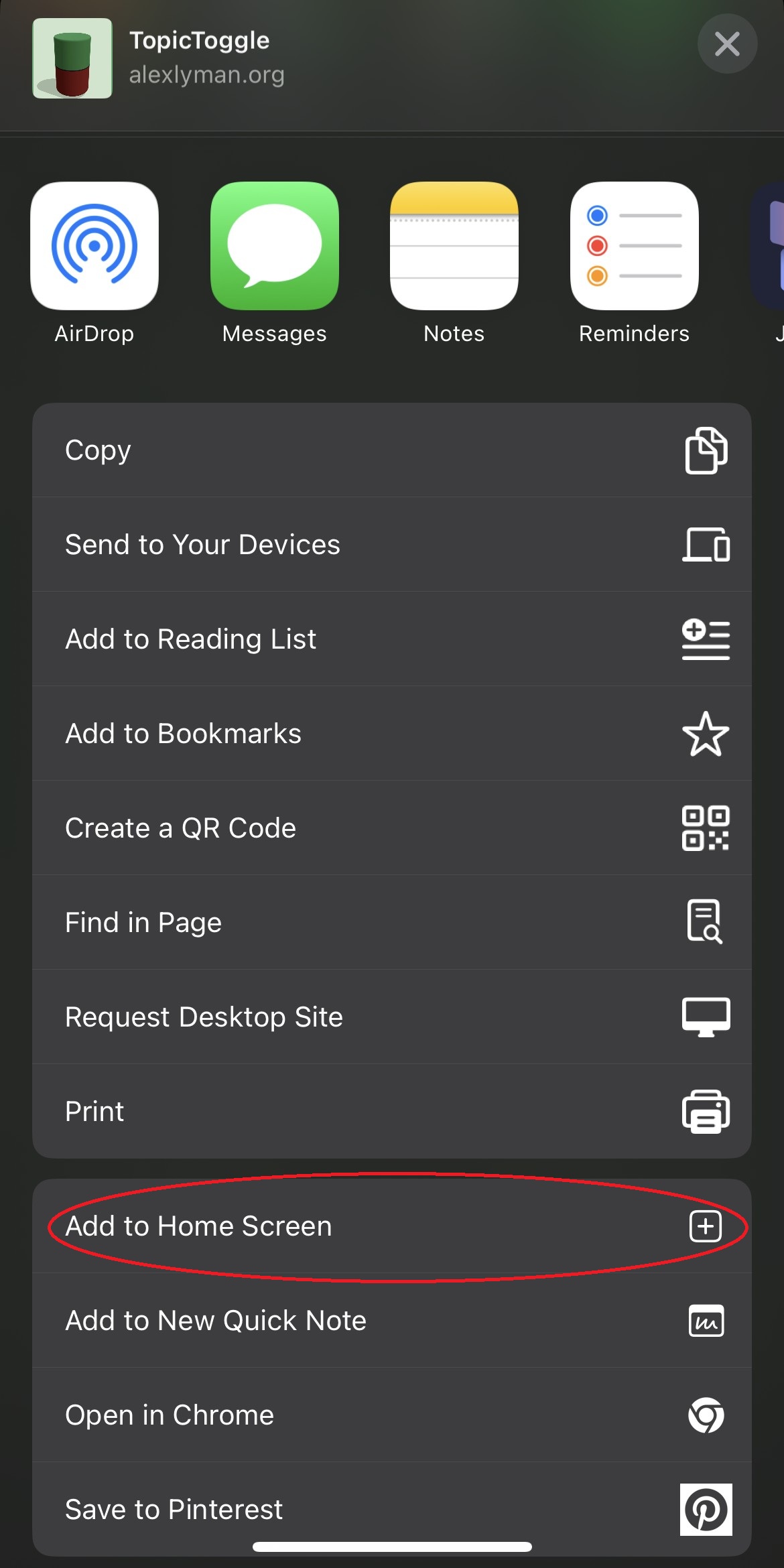 Screenshot of the TopicToggle site on iOS